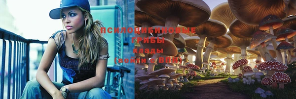 бутират Беломорск
